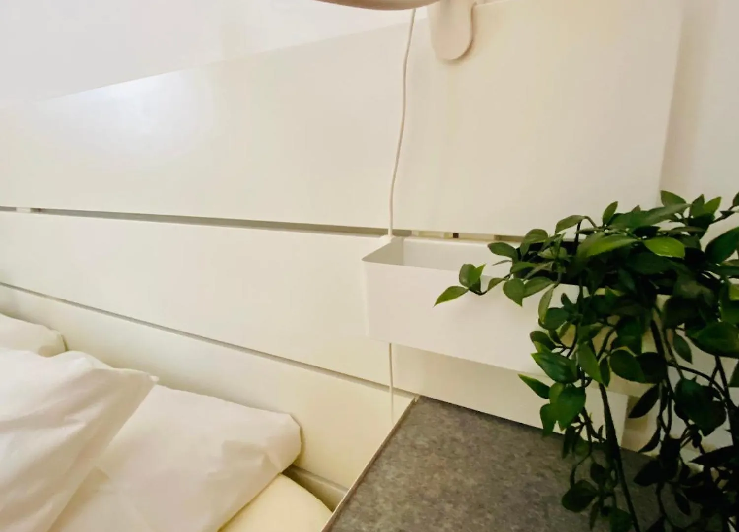 Casa Eva Villa Funchal